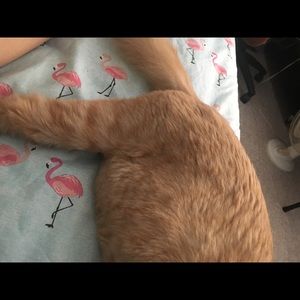 Meet your Posher, Jesse